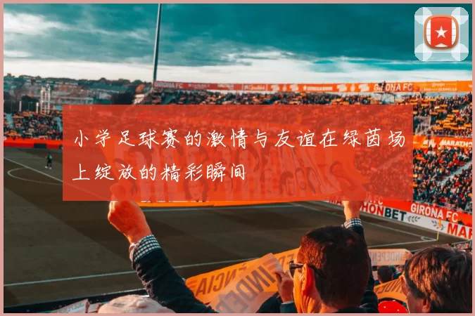 小学足球赛的激情与友谊在绿茵场上绽放的精彩瞬间