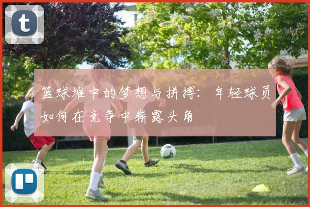 篮球堆中的梦想与拼搏：年轻球员如何在竞争中崭露头角